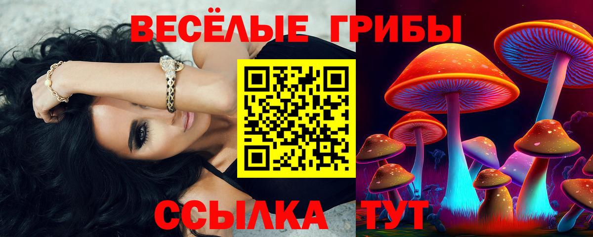 Псилоцибиновые грибы Magic Shrooms Наро-Фоминск