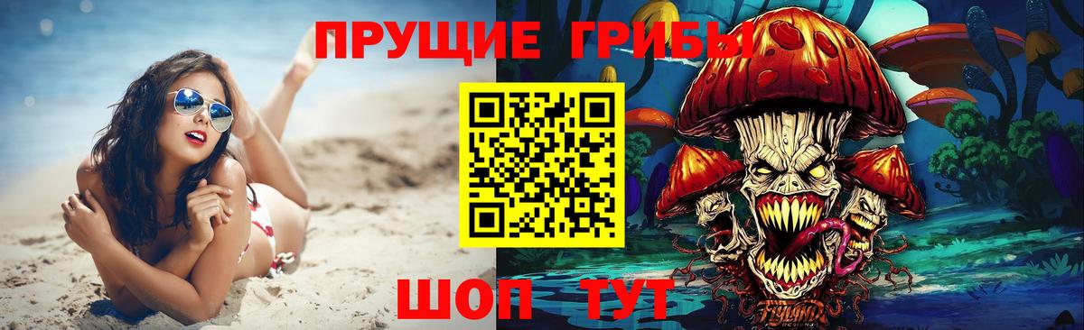 Наро-Фоминск  Псилоцибиновые грибы Psilocybe  Вход с VPN 
